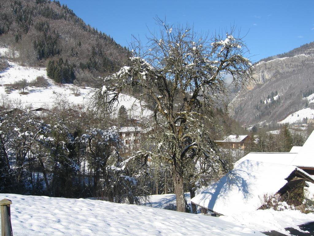 Appartement Borne Saint-Jean-dʼAulps Værelse billede
