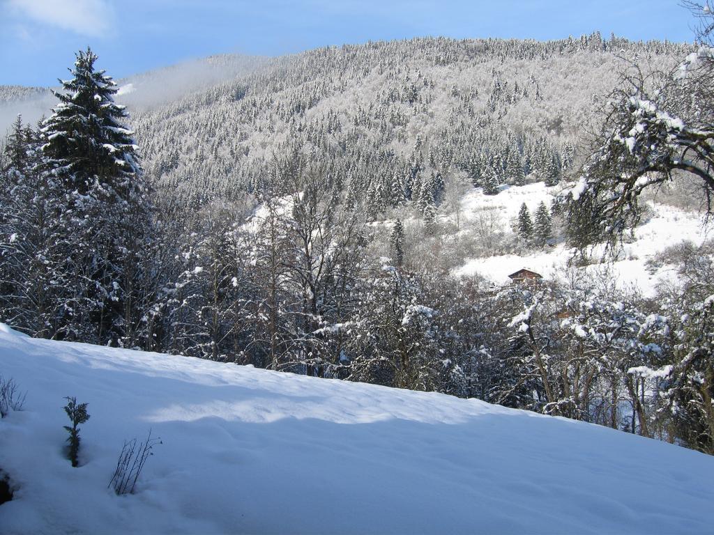 Appartement Borne Saint-Jean-dʼAulps Eksteriør billede